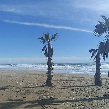 Cap D'Agde Port Lano T2 Clim, Piscine, Tennis Et Parking 외부 사진