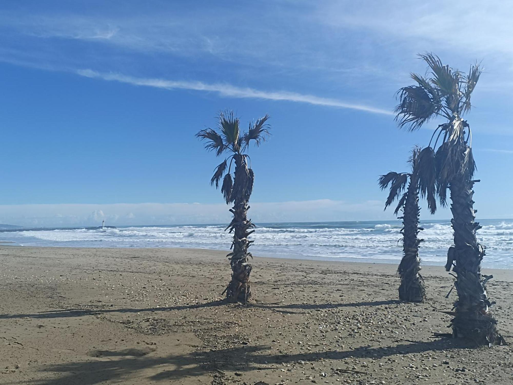 Cap D'Agde Port Lano T2 Clim, Piscine, Tennis Et Parking 외부 사진